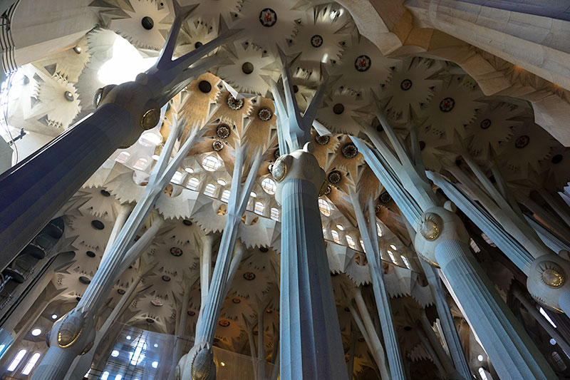 Sagrada Familia Gaudi Church Forrest Like Interior