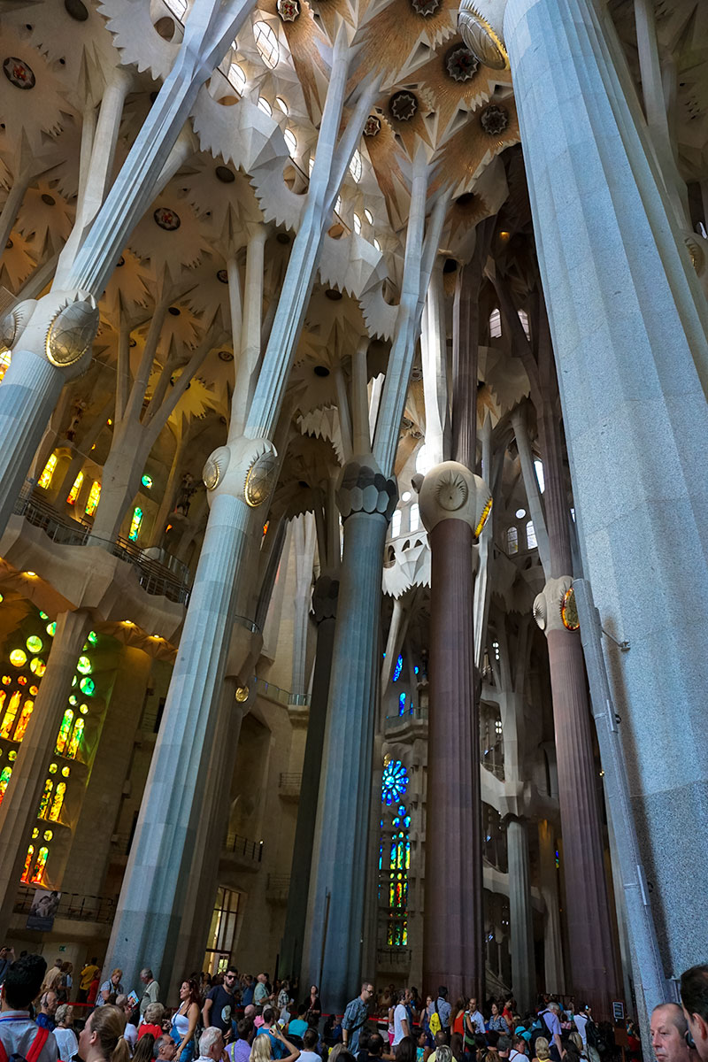The Insides of the Amazing Sagrada Familia Gaudi Church